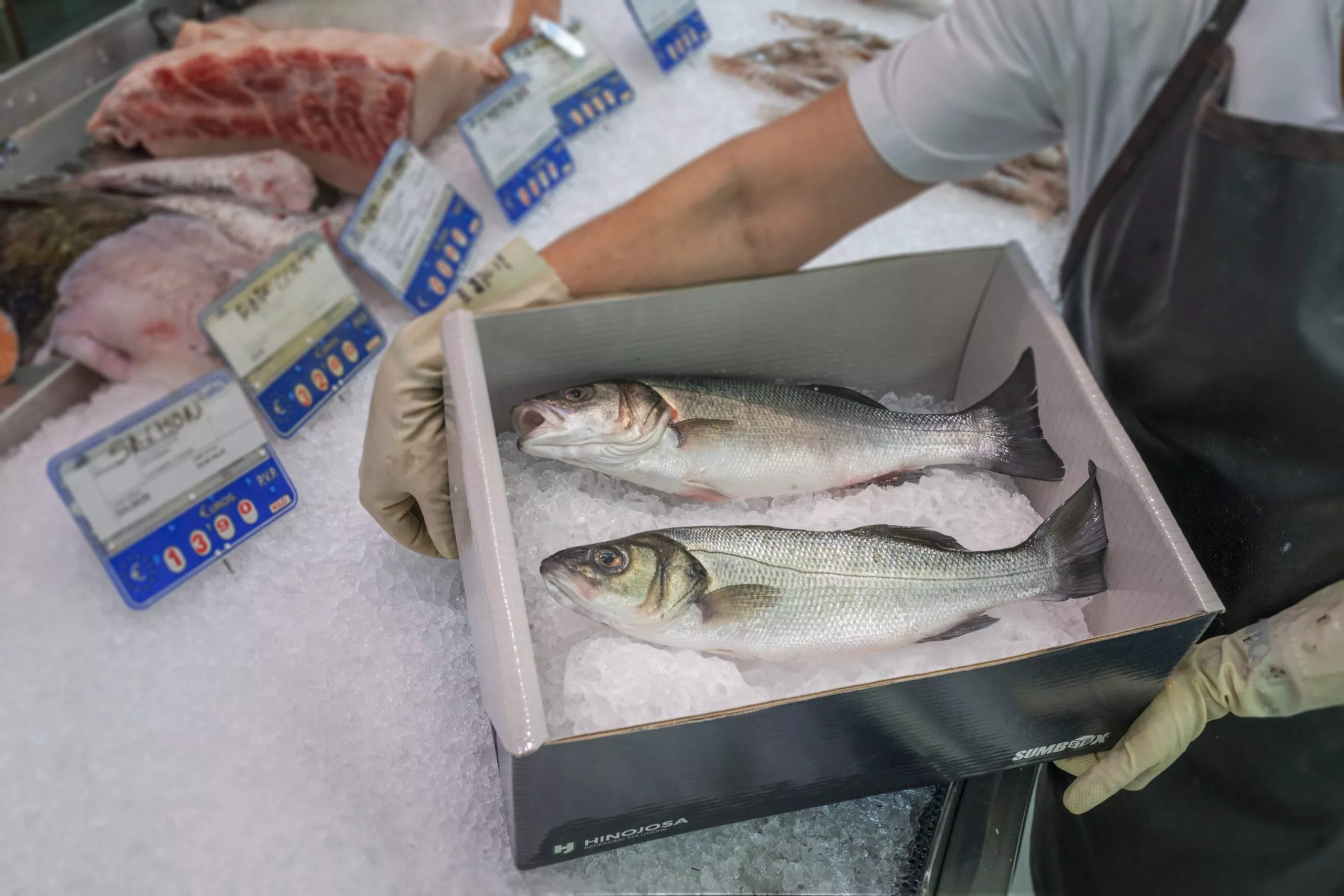 Hinojosa presents sustainable packaging for seafood at Conxemar