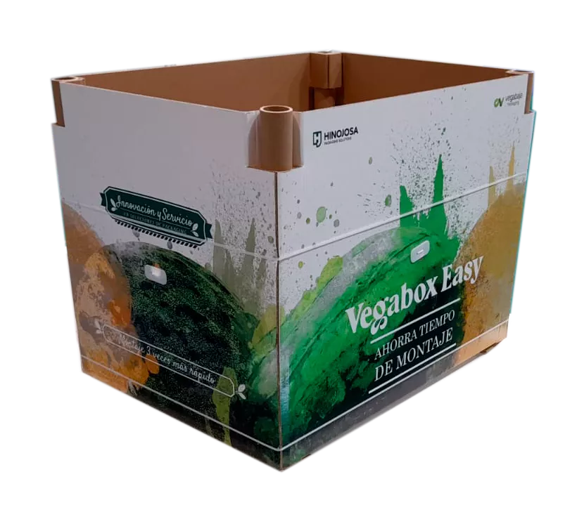 Vegabox Easy Hinojosa FR