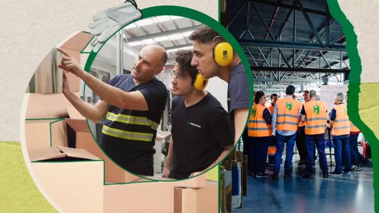 Imagen de Hinojosa Packaging Group IT