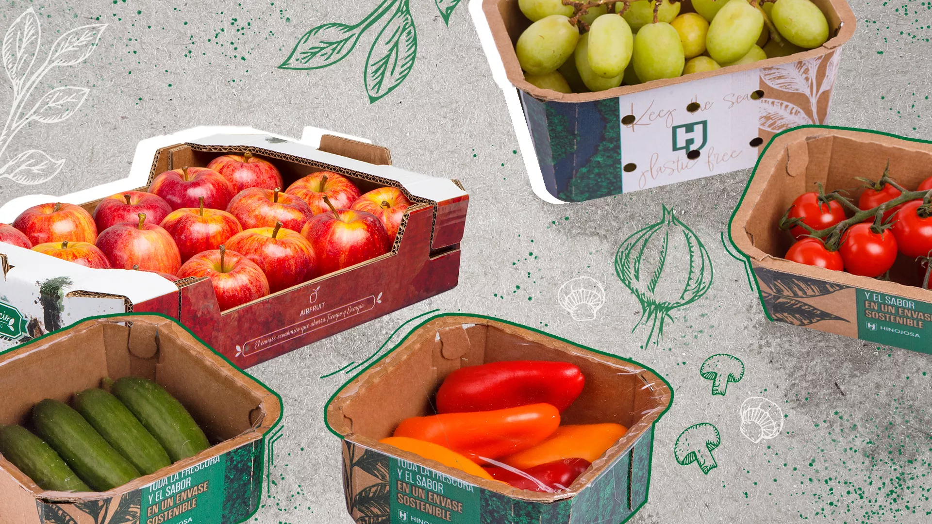 Imagen de Hinojosa Packaging Group