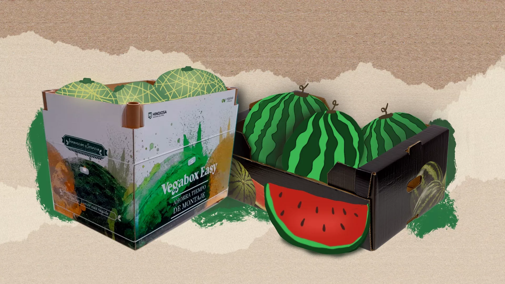 packaging para el melón y la sandía Hinojosa