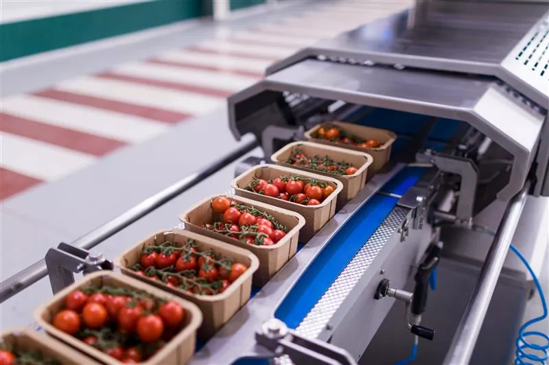 Imagen de Hinojosa Packaging Group